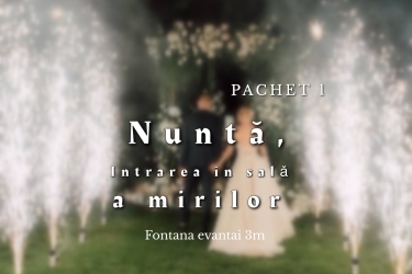 Nuntă, intrarea în sala
