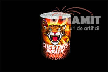 Cheetah's Breath