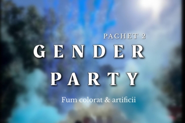 Set Gender party