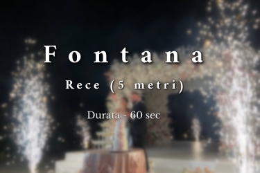 Fontan pentru sala 5m